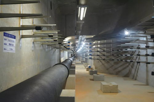 喜訊 公司四項目榮膺中國交建優(yōu)質(zhì)工程獎，彰顯市政建設卓越實力